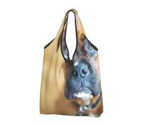 YOFIEN Sac fourre-tout pliable pour chiens Boxer, chiots et animaux de compagnie, grande capacité