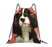 YOFIEN Shih Tzu Hund mit langen Ohren, Welpe, Tier-Haustier-Design, wasserabweisender Rucksack mit Kordelzug, für Damen und Herren, Sport- und Fitnessstudio-Sackpack