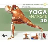 Yoga-Anatomie 3d