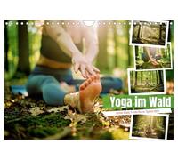 Yoga im Wald (Wandkalender 2027 DIN A4 quer), CALVENDO Monatskalender: Die Übungen im Wald verbinden achtsame Bewegung mit der natürlichen Kraft des Waldes.