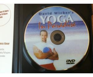Yoga in Paradise, The Ancient Secrets of Hatha Yoga David Wicker Format:DVD Format.