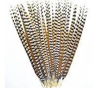YOGAY 10-60cm Plumes de Queue de Faisan Naturel pour Artisanat Plumes de Faisan décoration Accessoires de Carnaval