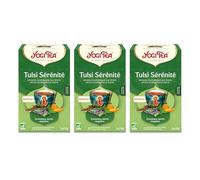 YOGI TEA, Chaï Assam, Thé Bio, Mélange de Thé Noir, Gingembre et Cannelle, 102 (6x17) Sachets de Thé