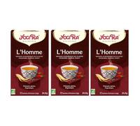 YOGI TEA, Chaï Vert, Infusion bio, Tisane Naturellement Sans Caféine, Mélange de Thé Vert, Cannelle et Gingembre, 102 (6x17) Sachets de Thé