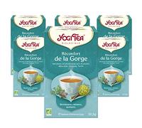 YOGI TEA, Énergie Positive Canneberge Hibiscus, Thé Bio, Mélange de Maté, Hibiscus, Canneberge et Thé Noir, 102 (6x17) Sachets de Thé