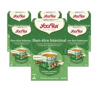 YOGI TEA, Thé Vert Gingembre Citron, Thé Bio, Mélange de Thé Vert, Gingembre et Citron, 102 (6x17) Sachets de Thé