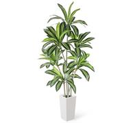 YOLEO Plante Artificielle Dragon Tree 180 cm, Grandes Plantes artificielles avec Pot Blanc, Arbre Artificiel, Plante en Plastique, Dracaena réaliste pour Salon, Bureau, Jardin, décoration intérieure