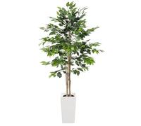 YOLEO Plante artificielle Ficus Benjamini 170 cm, Grande plante artificielle, avec pot blanc, Arbre artificiel Ficus comme du vrai, Figuier bouleau pour salon, bureau, jardin, décoration intérieure