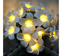 YoLight Guirlandes Artificielles de Plumeria, Mousse de Frangipanier LED Guirlandes Lumineuses à Piles Oeuf Fleur pour Chambre Mariage Maison Hawaïenne Plage Fête Cheveux Décor (Blanc, 3M/20LED)