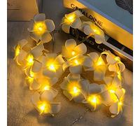 YoLight Guirlandes Artificielles de Plumeria, Mousse de Frangipanier LED Guirlandes Lumineuses à Piles Oeuf Fleur pour Chambre Mariage Maison Hawaïenne Plage Fête Cheveux Décor (Blanc, 6M/40LED)