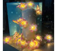 YoLight Guirlandes Artificielles de Plumeria, Mousse de Frangipanier LED Guirlandes Lumineuses à Piles Oeuf Fleur pour Chambre Mariage Maison Hawaïenne Plage Fête Cheveux Décor (Rose, 6M/40LED)