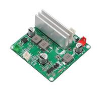 Yominerr Carte D'Amplificateur de Puissance Audio Numérique 12 V TPA3116 100 W PBTL Module Audio Domestique de Classe D Module Amplificateur Audio de Sortie 5 V