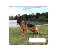 YONACREA - Magnet CARRÉ - Berger Allemand - Personnalisé avec Le Prénom de Votre Choix - Personnalisable en Ligne