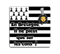 YONACREA - Magnet CARRÉ - en Bretagne, il ne pleut Que sur Les Cons !