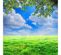 YongFoto 1,5x1,5m Toile de Fond Printemps Paysage L'herbe verte OIE sauvage Ciel bleu Nuage blanc Prairie Branche Été nature Fond Décors Studio Photo Portrait Enfant Video Fete Photographie Accesorios