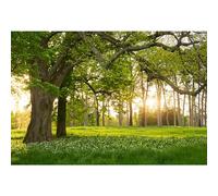 YongFoto 1,5x1m Forêt Scène de Toile de Fond Printemps Arbre Herbe Verte Fleurs Paysage Naturel Prairie Photographie d'arrière-Plan pour Les Enfants Adultes Camping Paysage Accessoires de Photo