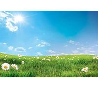 YongFoto 1,5x1m Polyester Toile de Fond Brillant Printemps Marguerite Fleurs Paysage Champ ensoleill?Serein Prairie Fond Décors Studio Photo Video Fete Photobooth Photographie Props