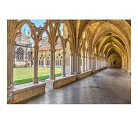 YongFoto 1,5x1m Toile de Fond Église Ancienne Maison Européen Archiculture Porte d'arche Pilier Long Couloir Gazon Nature Fond Décors Studio Photo Portrait Video Fete Mariage Photographie Accesorios