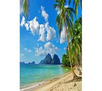 YongFoto 1,5x1m Toile de Fond en Vinyle pour Plage mer Le Paysage Paysage Bleu Nuages Blancs Palmiers Blancs Photos de Montagne séances Photo fêtes prénatales bannières pour Enfants