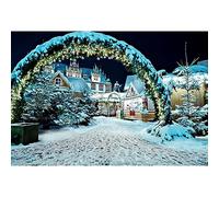 YongFoto 1,5x1m Vinyle Toile de Fond Noël pin Arbre brindilles balles Arche Porte Lourd Neige Village Maison Hiver noël Fond Décors Studio Photo Portrait Enfant Video Fete Photographie Accesorios