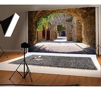 YongFoto 1,5x1m Vinyle Toile de Fond Rue médiévale arquée dans la vieille ville de Rhodes en Grèce Fond Décors Studio Photo Banner Enfant Video Fete Photobooth Photographie Accesorios