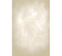 YongFoto 1x1,5m Décors Photo pour la Photographie Dégradé Beige Ivoire Résumé des Textures Fond d'atelier Décoration pour Enfants Famille Artistique Accessoires de Mariage Papier Peint de fête