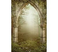 YongFoto 1x1,5m Vinyle Toile de Fond Ruines Gothiques Porte de Pierre Foré de Conte de Fées Brouillard Jardins enchant镾 Fond Décors Studio Photo Enfant Video Fete Photobooth Photographie Props