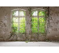 YongFoto 2,2x1,5m Vinyle Toile de Fond Ancienne Usine Industrielle en ruine abandonnée Fond de Studio photobooth vidéo Shooting Accessoires 7x5ft