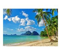 YongFoto 2,2x1,5m Vinyle Toile de Fond Plage Tropicale Ciel Bleu Mer Verte Feuilles De Palmier De Noix De Coco Fond de Studio Photo D?ors de f?e vid? photobooth Photographie Fond Accessoires