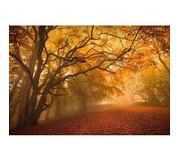YongFoto 2,5x1,8m Vinyl Toile de Fond L'automne Paysage Rouge Jaune Feuilles d'automne Parc for? Nature Fond D?ors Studio Photo Portrait Enfant Video Fete Mariage Photobooth Photographie Accesorios