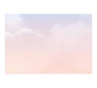 YongFoto 3,5x2,5m Abstrait Couleur Unie Toile de Fond D?rad?Rose Ciel Nuages Romantique Rêve Pays des Merveilles Photographie Fond B??Fée Décor Adultes Artistique Portrait Photo Props Vinyle