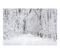 YongFoto 3,5x2,5m Hiver Neige Paysage Photographie Toile de Fond Blanc Arbre Enneig?for? Pays des Merveilles Nature Paysage Fond De No? F?e De Famille Portraits Photo Studio Props Vinyle