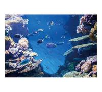 YongFoto 3,5x2,5m Royaume sous-Marin du Monde Fond Roche Pierres Poisson Corail Bleu d'eau mer Toiles Fond pour Photographie Océan Décoration intérieure Peint Photo Fond Gar?NS daVoyage Studio