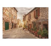 YongFoto 3,5x2,5m Vinyle Toile de Fond Italie Narrow Town Street Green Plantes Weathered Brique Pierre Sunshine Nature Voyage Fond Décors Studio Photo Portrait Enfant Video Fete Photographie