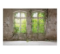 YongFoto 3x2m Vinyle Toile de Fond Ancienne Usine Industrielle en ruine abandonnée Fond de Studio photobooth vidéo Shooting Accessoires 10ft