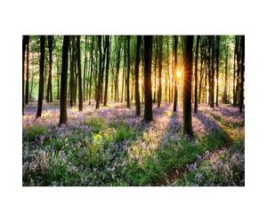 YongFoto 3x2m Vinyle Toile de Fond Bois de Lavande Romantique Jacinthe des Bois Arbre de la forêt Canopys Lever du Soleil Fond Décors Studio Photo Enfant Video Fete Photobooth Photographie Props