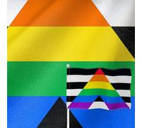 YongFoto Drapeau gay droit allié 0,9 x 1,5 m double face en toile de jute LGBTQ Pride Support communautaire quatre côtés cousu couleurs vives durable résistant aux UV à la décoloration résistant aux