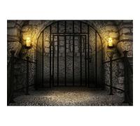 YongFoto Toile de fond 2,1 x 1,5 m - Château gothique - Pierre ancienne - Architecture - Fond de photographie - Mystère - Fête d'anniversaire, , policier, portrait artistique