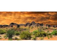 YongFoto Toile de fond en polyester pour photographie du désert mexicain - Motif cactus, arbustes et rocheux - 121,9 x 45,7 cm