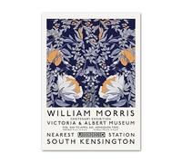 YONGKUIQMK Affiches et estampes abstraites rétro Bauhaus, William Morris et Matisse, tableaux sur toile for la décoration intérieure(B,30x40cm No Frame)