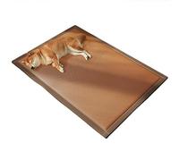 YongXinMY Tapis rafraîchissant pour animal de compagnie, chiens et chats - Tapis de glace en rotin respirant, anti-rayures et antidérapant - Pour canapé, sol, cage, lit, été, intérieur et extérieur