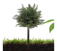 Yonuaret Piquet Pour Sapin De Noël Artificiel,Topiaire Réaliste et Réutilisable - Sapin De Noël Pour Extérieur Avec Piquet,Pour Saison Des Fêtes Jardin Porche Pelouse Allée Patio Balcon Fête Du Nouvel