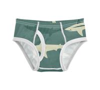 Yoogain Sous-vêtement en coton pour garçon Transformer confortable à la taille Slip Old Slow Style requin Vert Tailles 2T, Old Slow Style Shark Green, 3 ans