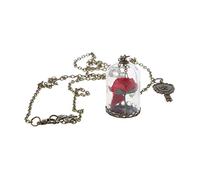 Yooghuge Colliers pour femmes et filles, pendentif fiole en verre avec fleurs séchées et chaîne en bronze - Colliers de la Belle et de la Bête pour les fêtes d'amies, Métal