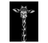 Yoonqun 5D Diamond Painting Girafe Noir Blanc, DIY Adultes/Enfants Diamant Painting Kit Complet Point de Croix Toile Broderie Mosaïques Peinture Art Maison Décor Murale Cadeau Round Drill 30x40cm