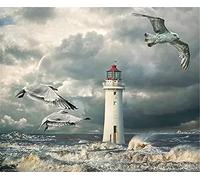 5D DIY Diamond Painting Kit,Oiseau de phare de mer Broderie Diamant Kit Complet pour Adultes Enfants Cristal Strass Point de Croix Art pour La Maison Décor Murale Cadeau (50x70cm/20x28in)