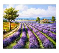 5D DIY Diamond Painting Kit,Paysage de lavande Broderie Diamant Kit Complet pour Adultes Enfants Cristal Strass Point de Croix Art pour La Maison Décor Murale Cadeau (40x50cm/16x20in)