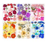 YoothBro 116PCS Vraie Nature Sec Gaufré Résine Moule, Sec Gaufré [apillon Transparent Autocollant DIY Bijoux Faire Pngles Carte Scrapbooking Art Craft décoration Eternity Summer