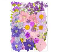 YoothBro Lot de 40 fleurs pressées séchées violettes pour moules en résine, véritables fleurs pressées naturelles pour travaux manuels, fabrication de bougies, décoration d'ongles, fabrication de