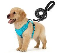 YooxArmor Harnais Chien Anti Traction avec Laisse pour Moyen Chien,Bleu,L